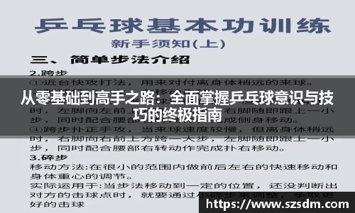 从零基础到高手之路：全面掌握乒乓球意识与技巧的终极指南